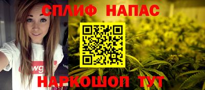 дживик Можга