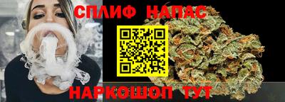 дживик Можга