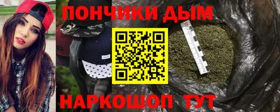 дживик Можга