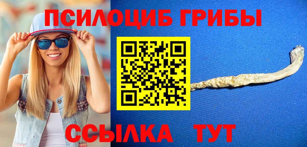 купить наркотики сайты  Галлюциногенные грибы Psilocybine cubensis  Вход с VPN  Горячий Ключ 